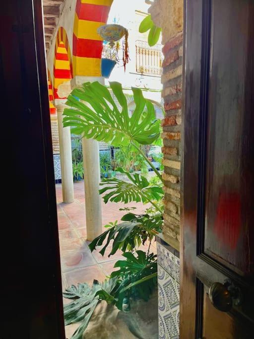 شقة Patio De La Corredera قرطبة المظهر الخارجي الصورة